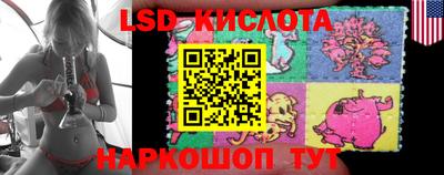 гидропоника Новокубанск