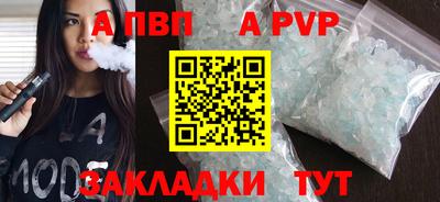 индика Новодвинск