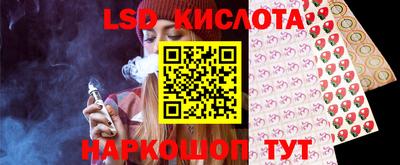 индика Новодвинск