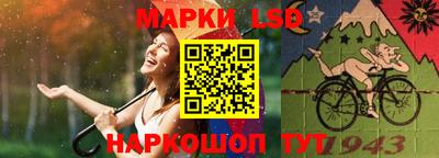 индика Новодвинск