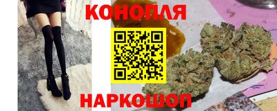 индика Новодвинск