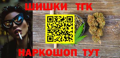 индика Новодвинск
