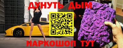 индика Новодвинск