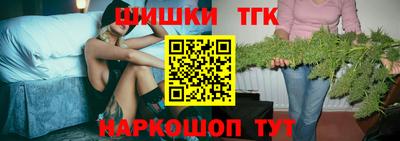 индика Новодвинск