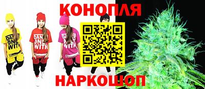 гидропоника Новокубанск