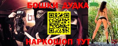 индика Новодвинск