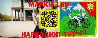 индика Новодвинск
