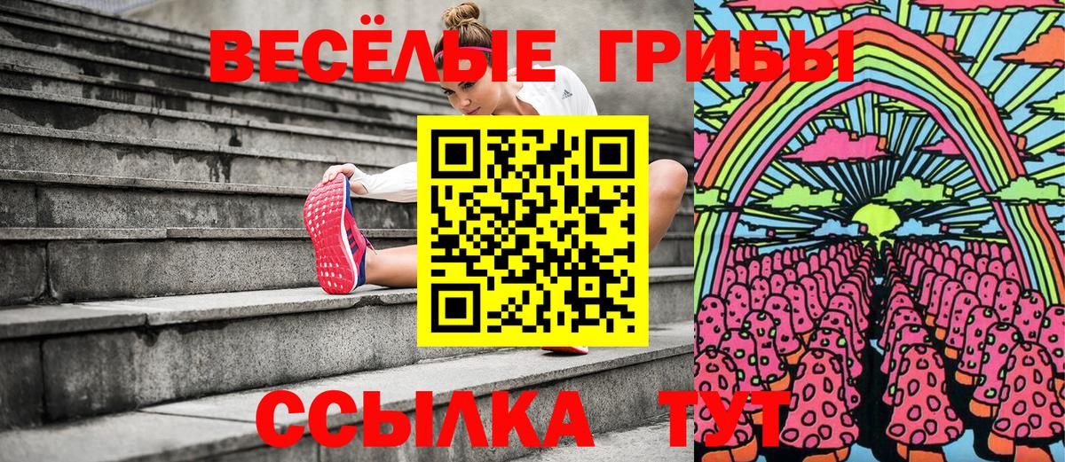 Старая Купавна  Галлюциногенные грибы MAGIC MUSHROOMS  Вход с VPN 